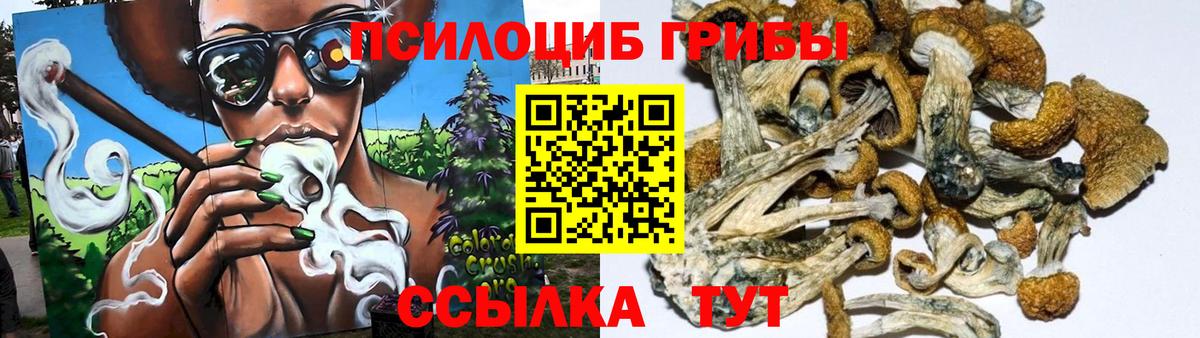Карпинск  Псилоцибиновые грибы мицелий  Галлюциногенные грибы Cubensis  купить наркоту  Вход с VPN 